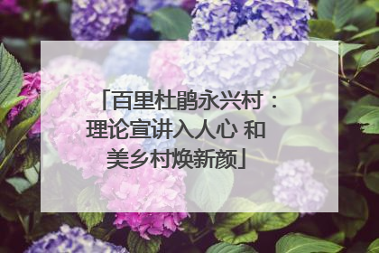 百里杜鹃永兴村：理论宣讲入人心 和美乡村焕新颜